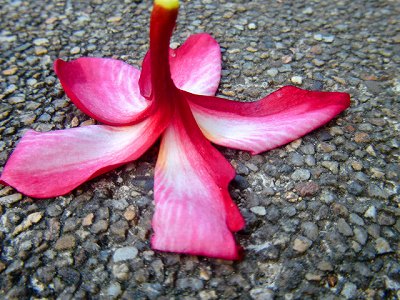 2012112615.jpg