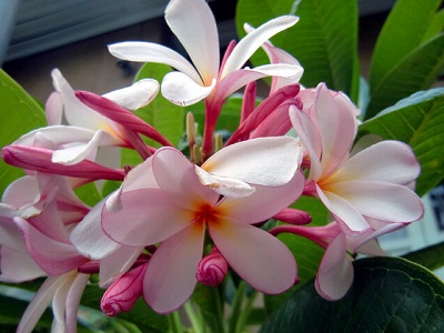 2012112616.jpg