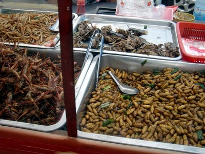 2012112619.jpg