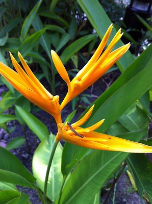 MyPhoto7.jpg