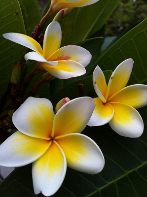 MyPhoto11.jpg