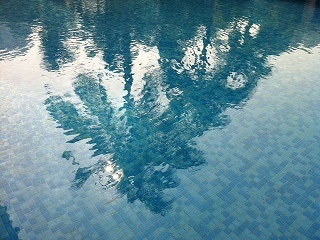 MyPhoto19.jpg
