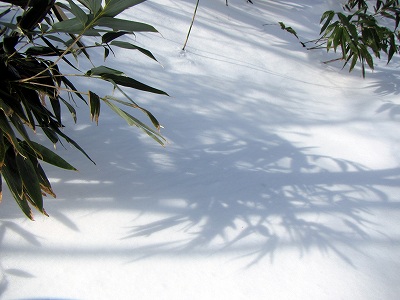 2013011200.jpg