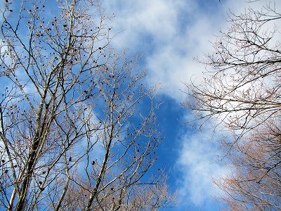2013011203.jpg