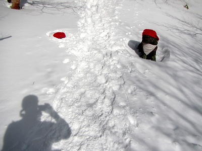2013011205.jpg