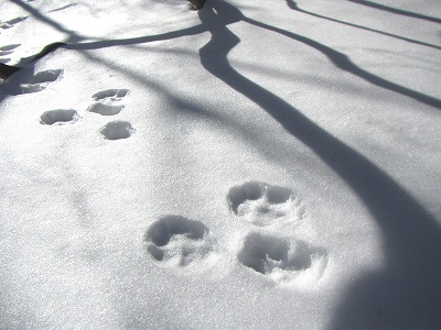 2013011207.jpg