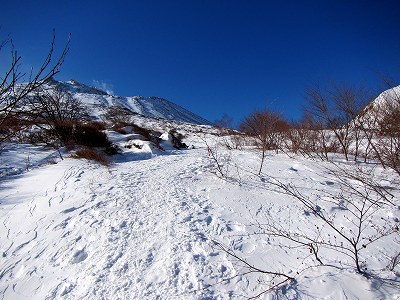 2013011208.jpg