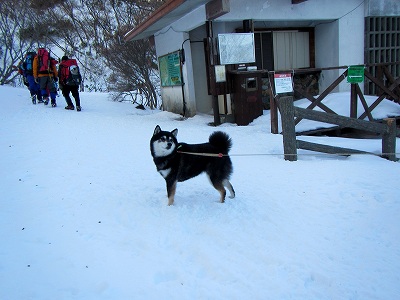 2013011244.jpg