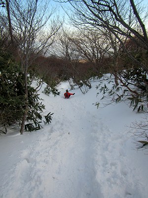 2013011249.jpg