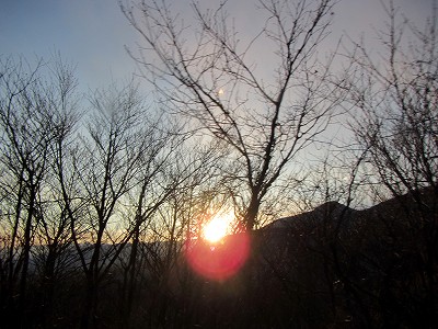 2013011253.jpg