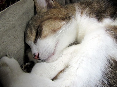 201302011.jpg