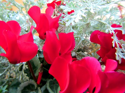 201302013.jpg