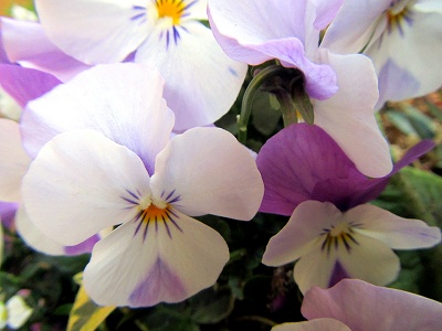 201302014.jpg