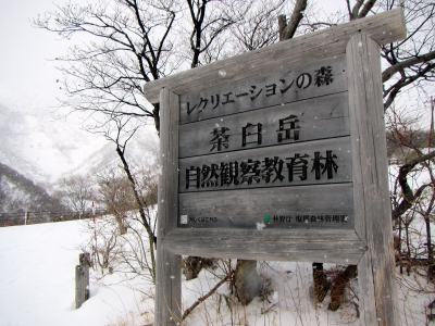 2013021004.jpg
