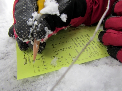 2013021006.jpg