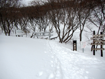2013021007.jpg