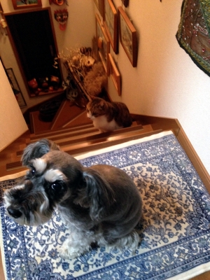 2013021027.jpg