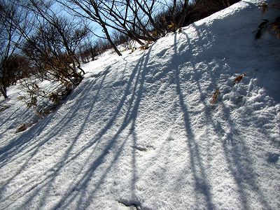 2013031921.jpg