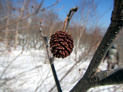 2013031922.jpg