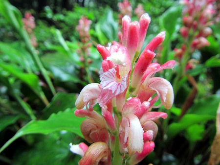 2013060611.jpg