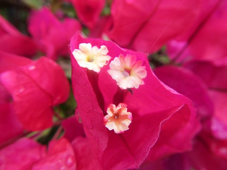 2013060613.jpg