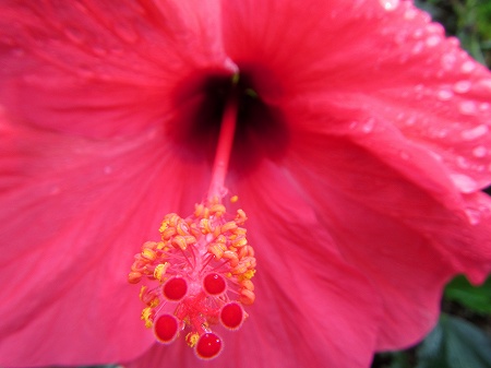2013060614.jpg