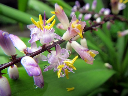 2013060617.jpg