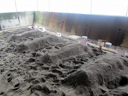 2013060619.jpg