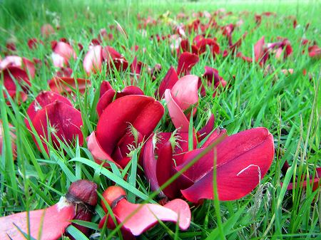 2013060624.jpg