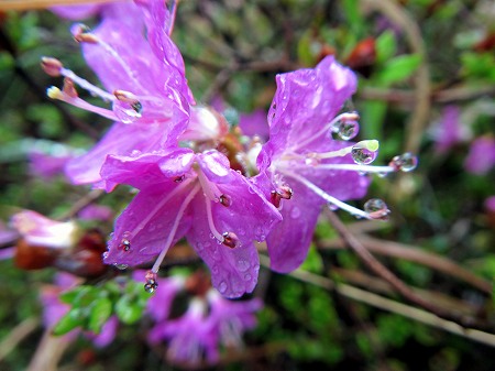 2013060631.jpg
