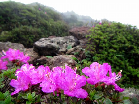 2013060636.jpg
