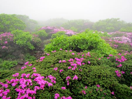 2013060637.jpg