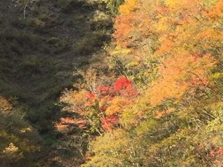 iPhoneImage.png