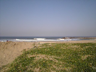 20070504_358662.jpg