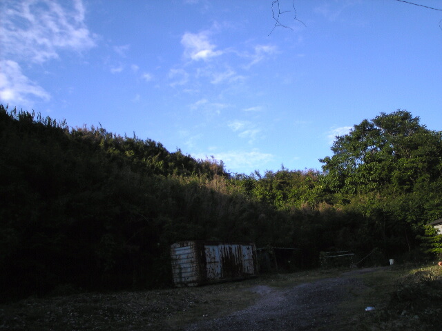 20070615_377796.jpg