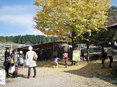 WARANAYAクラフト市 風景