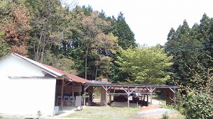 2016窯開き開催中
