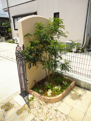 DSC03164.JPG