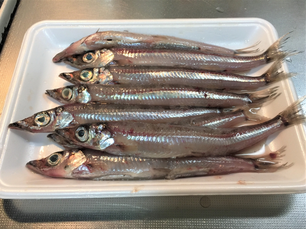 深海魚ニギスの塩焼き クックブログ