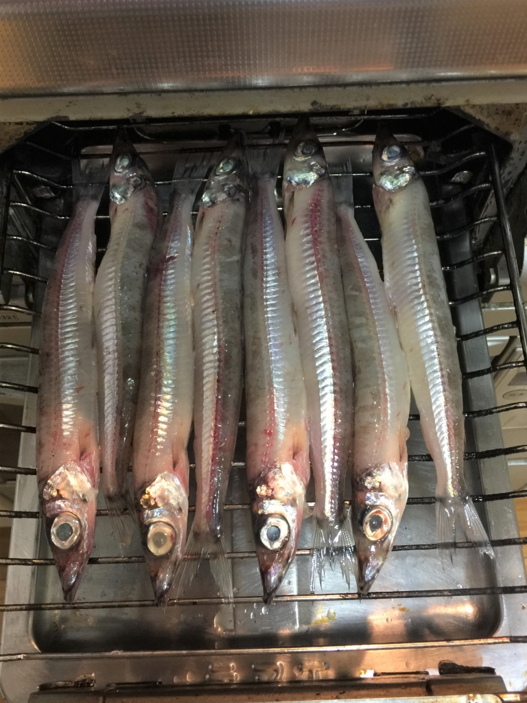 深海魚ニギスの塩焼き クックブログ