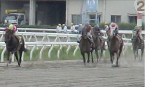 20090712第7レース2