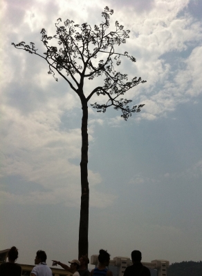 ¼Ì¿¿ 13-08-11 11 11 52.jpg