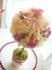 oshima3 トピアリー