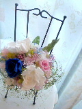 SN3D02990001.jpg
