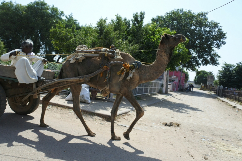 DSC_3580.JPG
