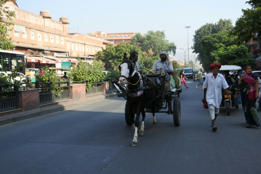 DSC_3535.JPG