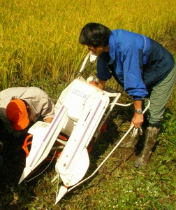 inekari0702