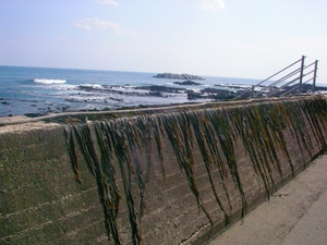 tomari1