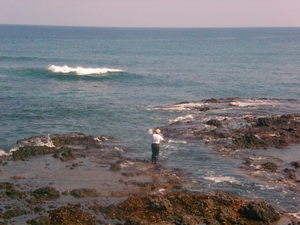 tomari2