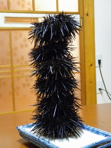 uni9